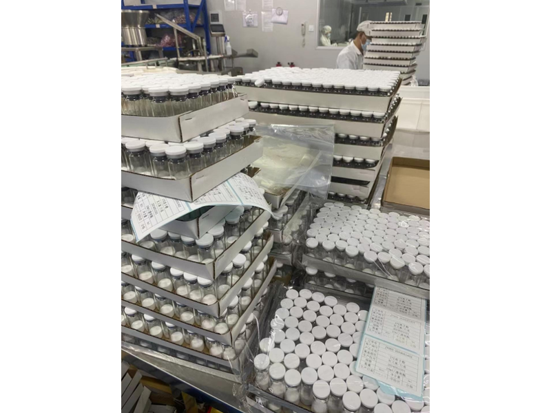 chloroquine glutathione synthase Chloroquine | Research Use Only