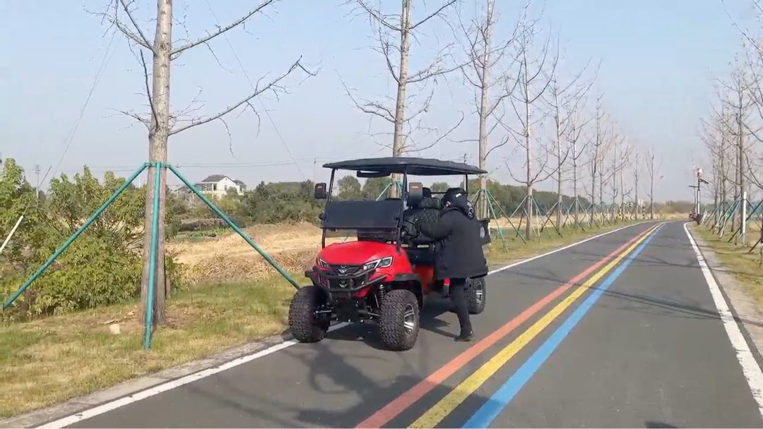 Voiturette de Golf 2 Places en Gros, Contrôleur 60V, 4 Roues, Poids 450kg