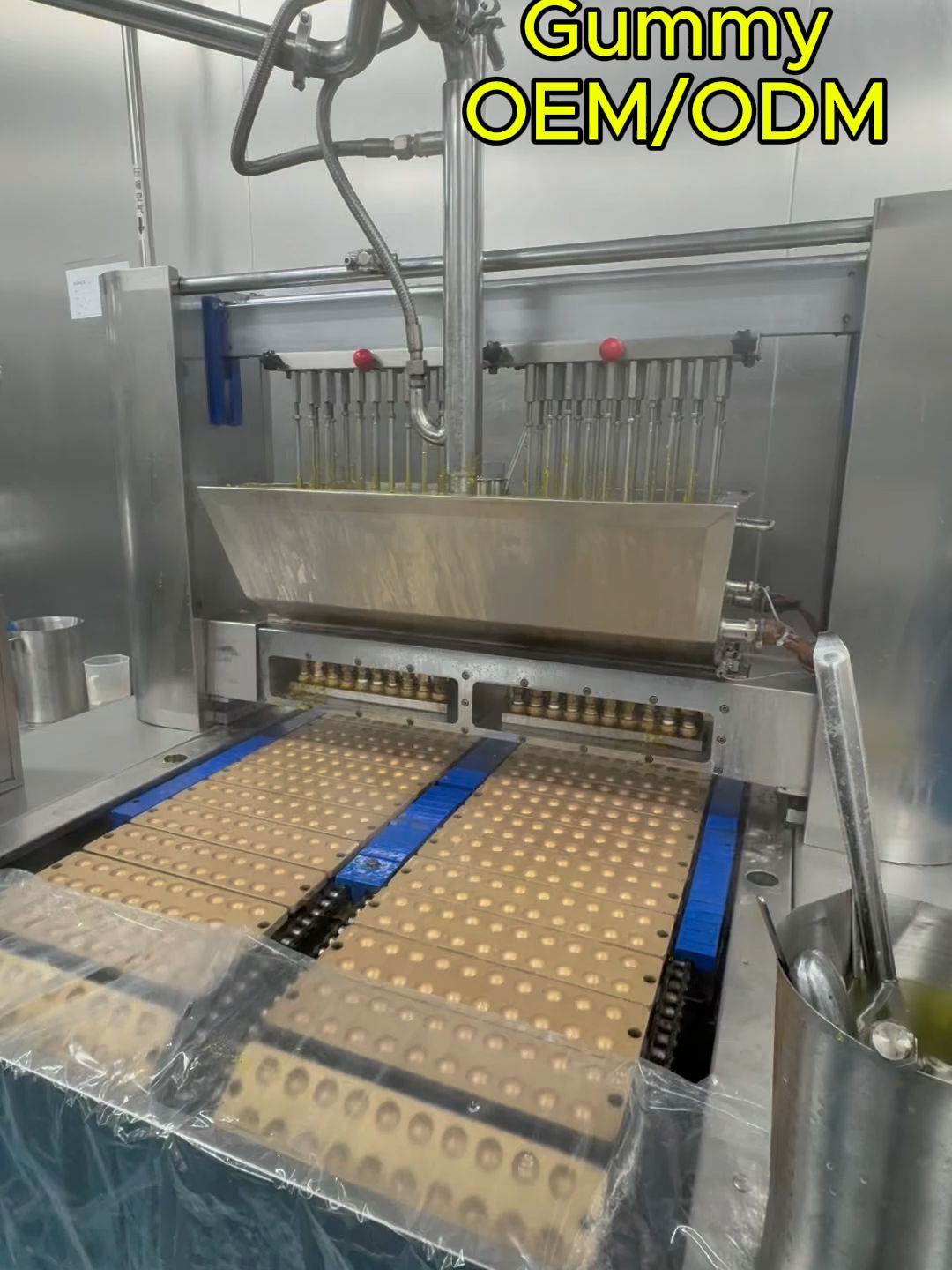 Custom Women's Probiotic Gummies Female Wellness Supplement OEM ODM Supplier