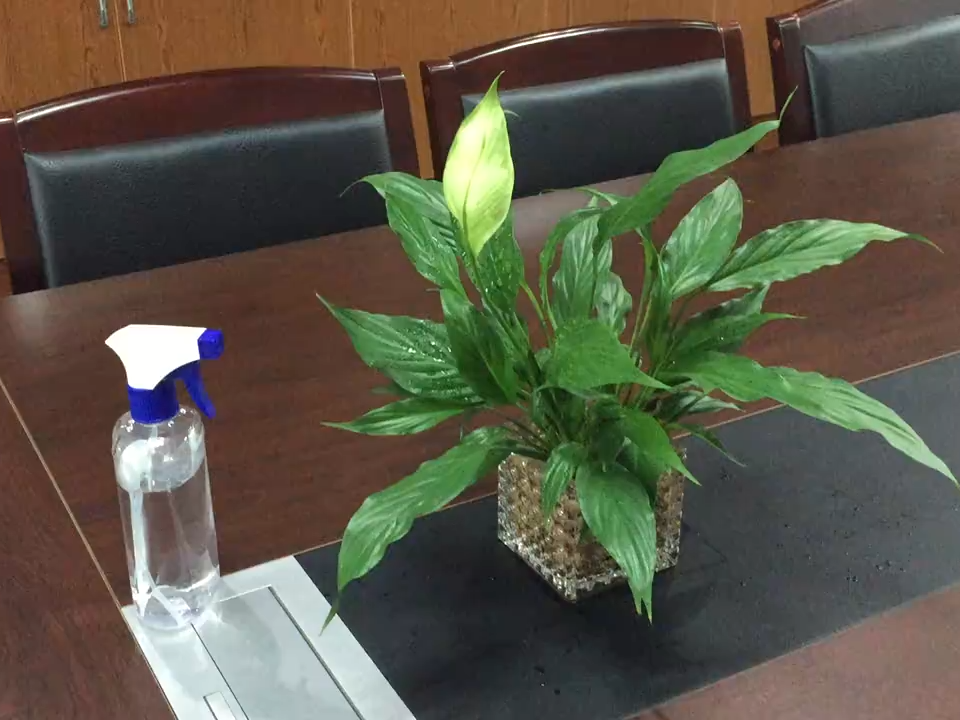 Fábrica OEM niebla fina mano profesional plástico PP 28/400 C forma química resistente gatillo pulverizador