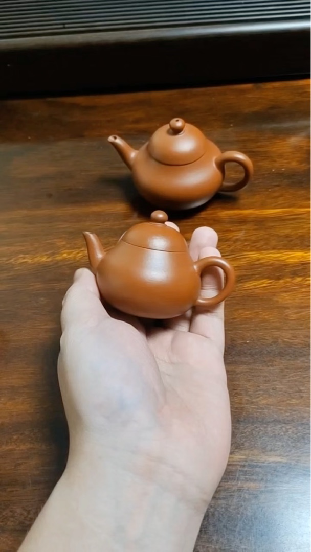 Chinesische Chaozhou Kung Fu Teekanne aus violetter Tonerde mit kleinem Fassungsvermögen