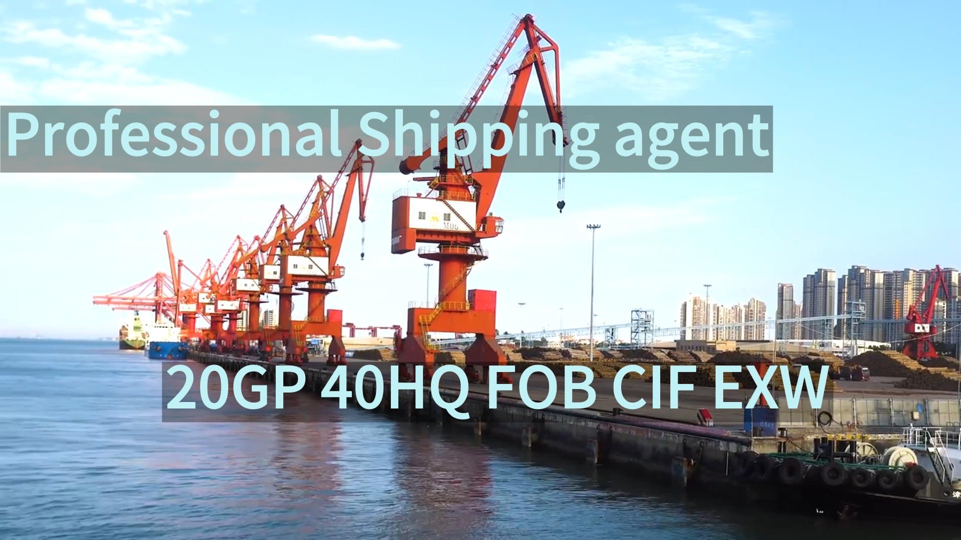 Zuverlässiger globaler Frachtservice von Ningbo Shanghai China nach Australien Brisbane Sydney FCL LCL Seefrachtagent