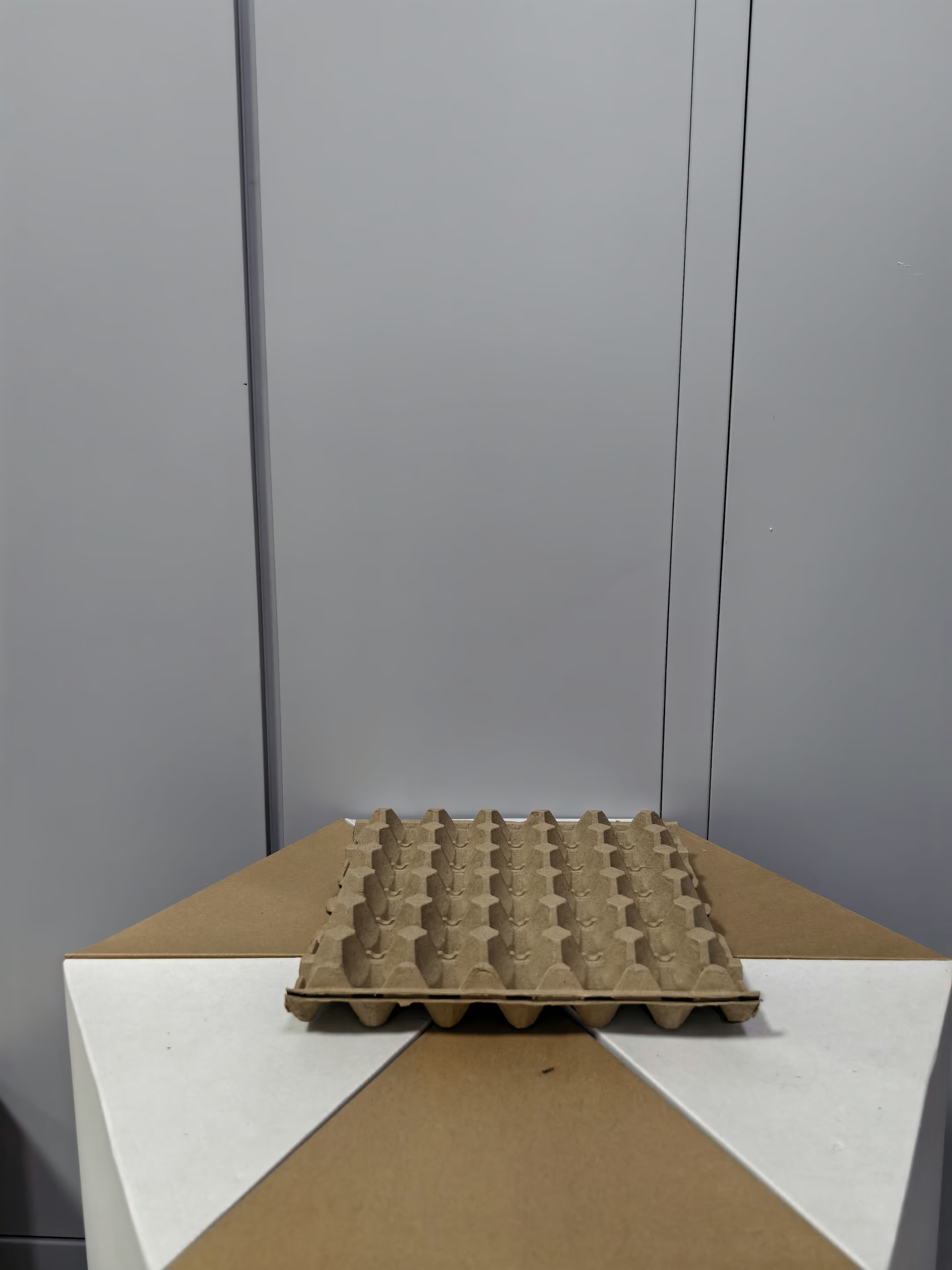 Plateaux à œufs jetables, boîtes à œufs en pâte à papier, couleur personnalisée, boîte à œufs biodégradables, boîte à œufs en pâte à papier, boîte à œufs avec œufs