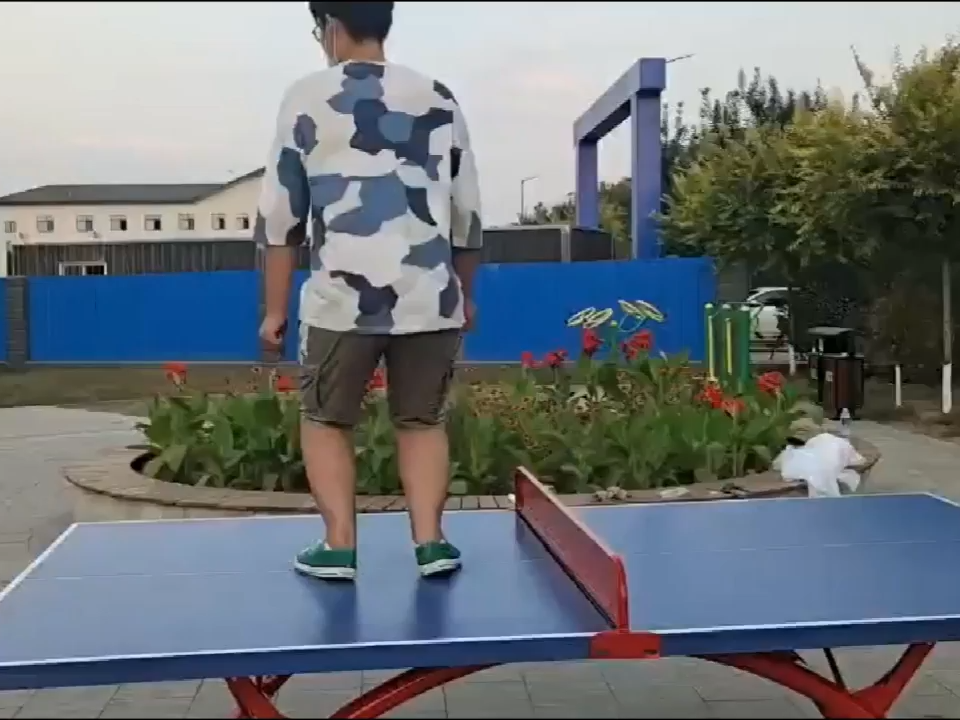 Weatherproof SMC Ping Pong Table with Anti-Glare Surface, Foldable Design for Home and Recreational Use