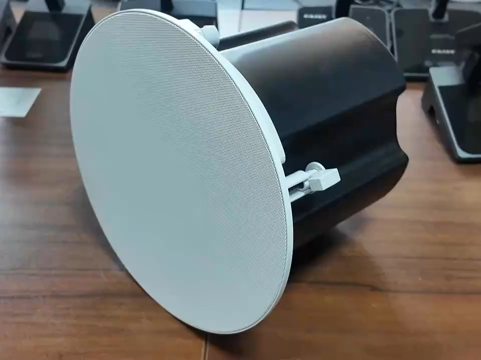 High Performance 6.5 Inch Dante AES67 PoE Ceiling Speakers Single Cable Power Supply Audio Speaker Sound System