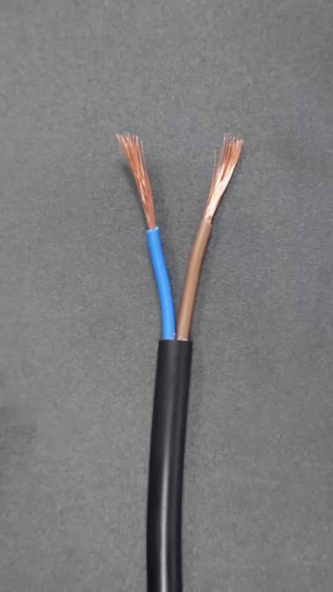 Rouleau de 100m Câble 2 Fils 0.5-2.5mm Blanc 2182Y Fil Électrique Flexible Rond pour Éclairage H05VV-F