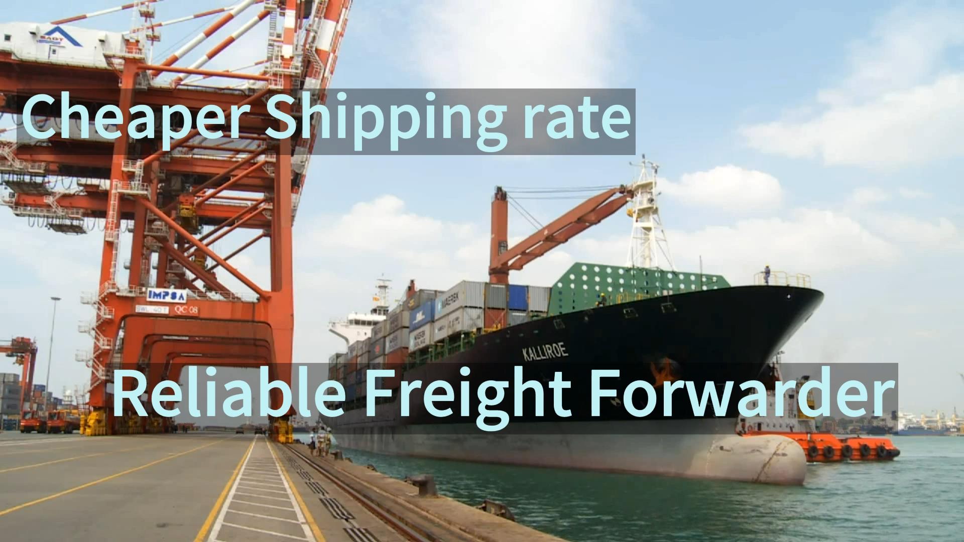 Internationaler Frachttransport von Lianyungang Wenzhou nach Australien Geelong Bundaberg FCL LCL - Vertrauenswürdiger Transportpartner