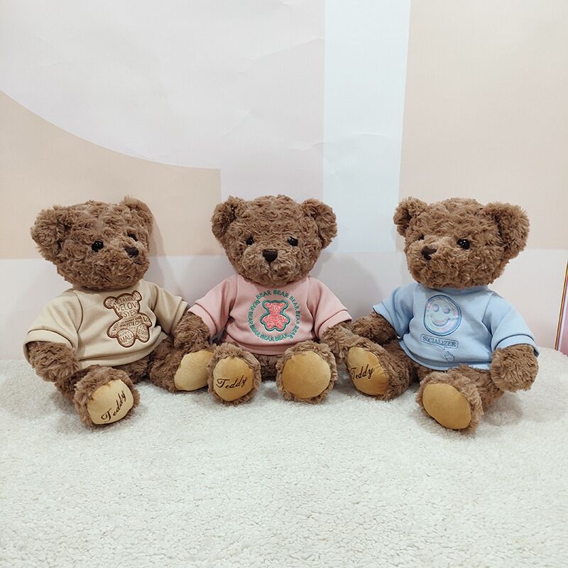 Individuell gestalteter brauner Plüsch-Teddybär mit T-Shirt für Werbeartikel und Merchandising
