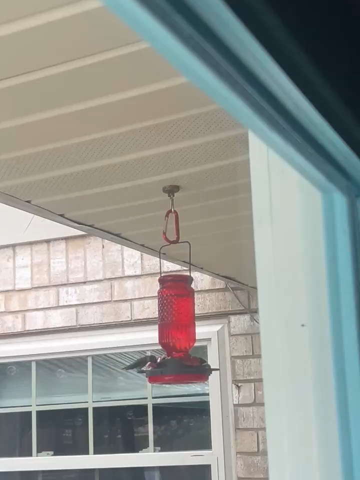 Outdoor Glas Kolibri Futterspender, 5 Ports, Ameisenfrei, Gartendekoration, Hängender Kolibri-Futterautomat zur Vogelbeobachtung