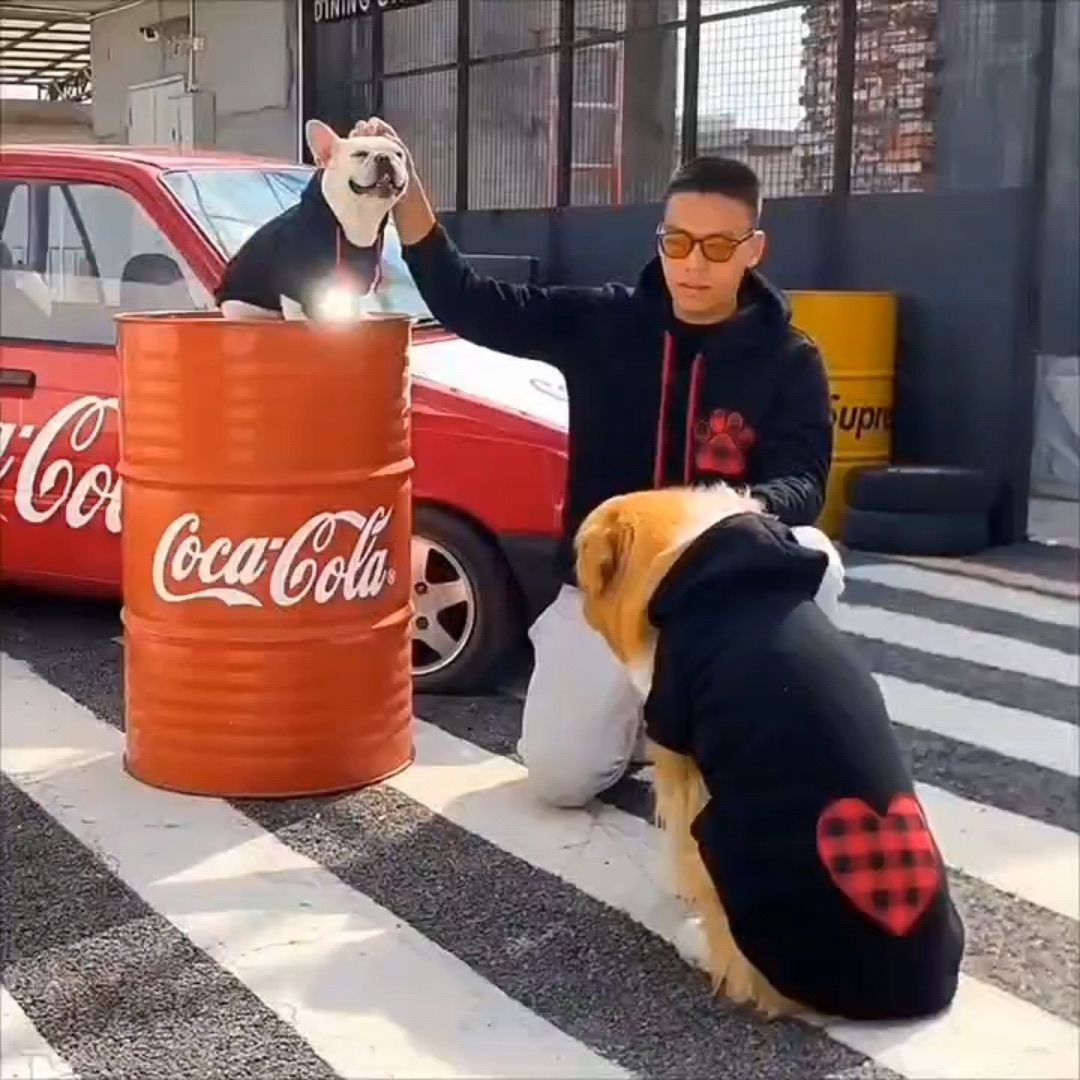 Großhandel Lässige Hoodie Haustierkleidung für kleine, mittelgroße und große Hunde - Hundehoodie für Herbst und Winter Wärme