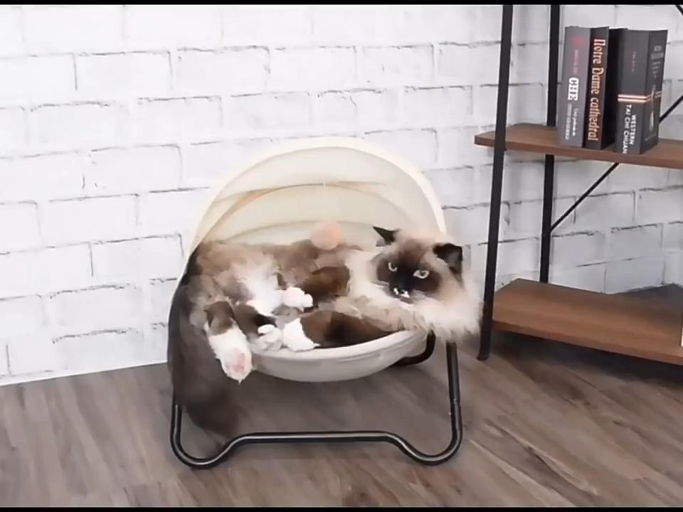 Pas cher Prix Universel Confortable Étanche À L'humidité Respirant Pet Tapis À La Main Facile Assemblée Durable Chat Hamac Chaise