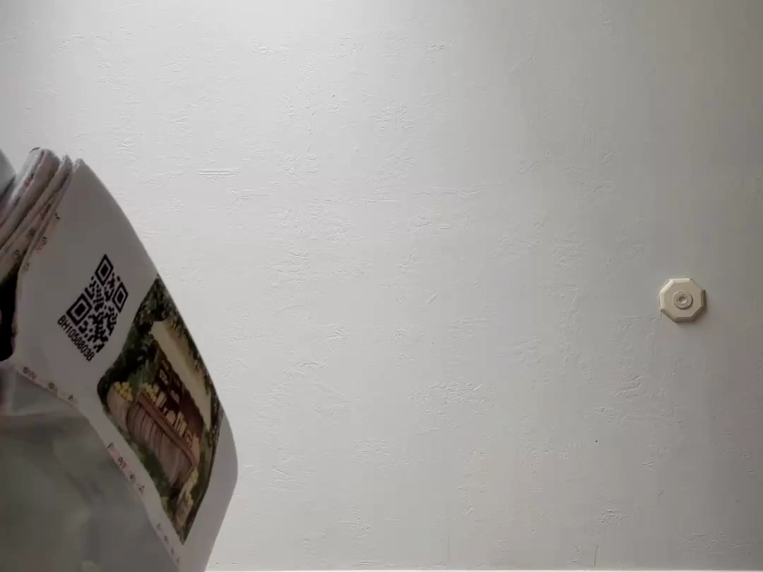 Frühlingsblumen-Bogen mit Schmetterlingen - Fotohintergrund für Geburtstage, Babypartys und Porträtstudios