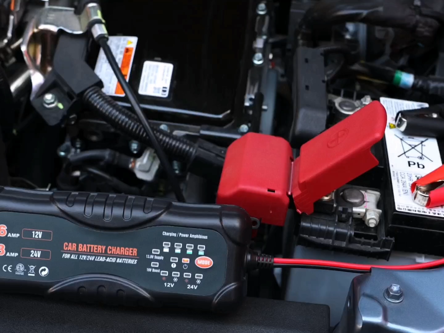 Professional 6A Battery Maintainer & Charger 12V/24V for Deep Cycle Batteries in Trucks RVs Boats - Multi-Stage Charging & Reverse