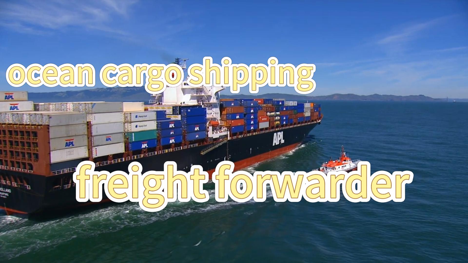 Servicio Marítimo Transfronterizo Experimentado de Qingdao, Tianjin (China) a Reino Unido (Felixstowe, Southampton) - Agente Fiable FOB, CIF, DDP