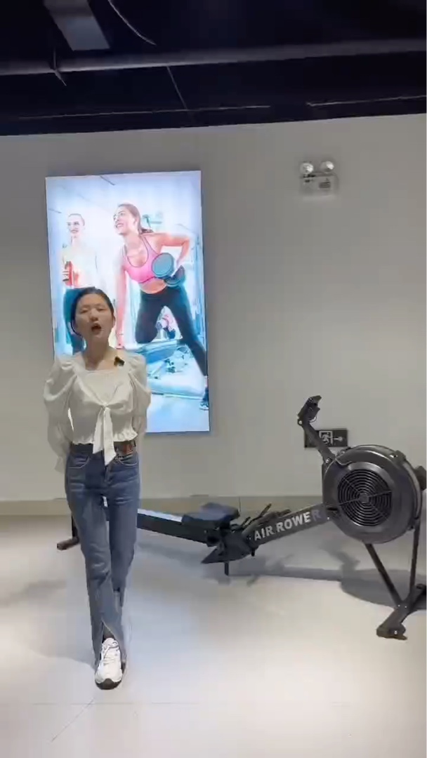 Commercial Indoor Air Resistance Rowing Machine, Air Resistance Rower, ERGO