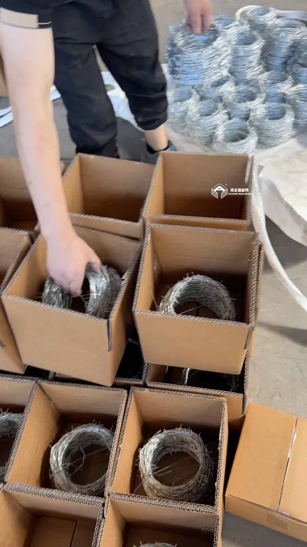 Mini Rouleau de Fil Barbelé, Fil d'Acier Barbelé de 30m pour Clôtures