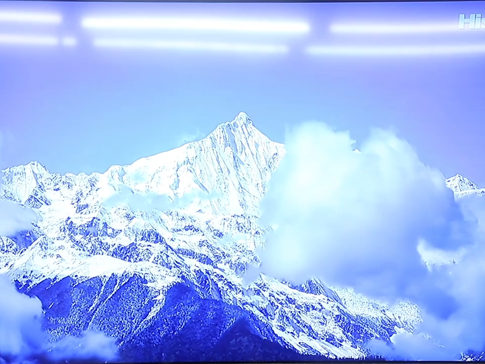 Cable DVI a DVI OEM (24+1 Enlace Dual, Cable de Video Digital, Macho a Macho) - para Gaming, DVD, Laptops, HDTV y Proyector