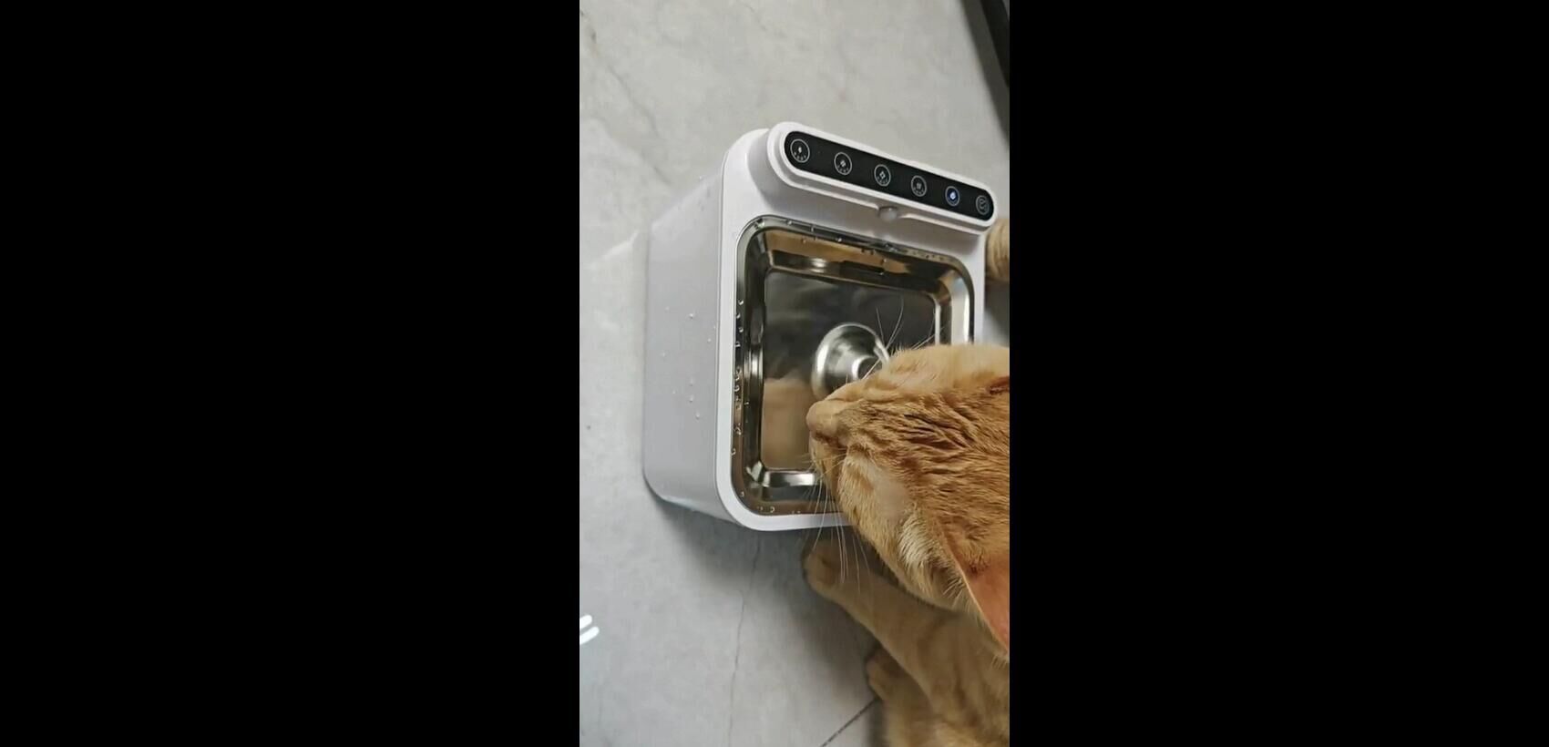 نافورة مياه للقطط مع مراقبة - نوافير مياه أوتوماتيكية داخلية للقطط، موزع مياه للشرب للحيوانات الأليفة، تصنيع المعدات الأصلية وتصميم التصنيع الأصلي