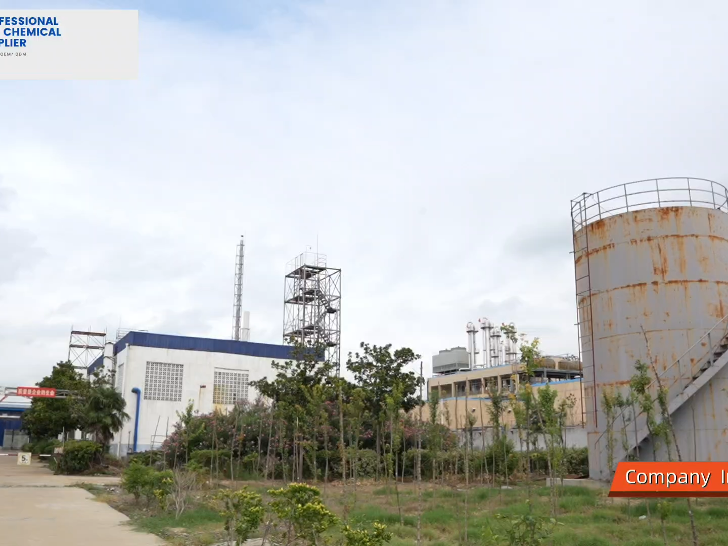 Ethyl-2-chloracetat CAS 609-15-4 Fabrikzulieferer Hohe Qualität 97,5% Reinheit Organisches Zwischenprodukt ECN 210-180-4