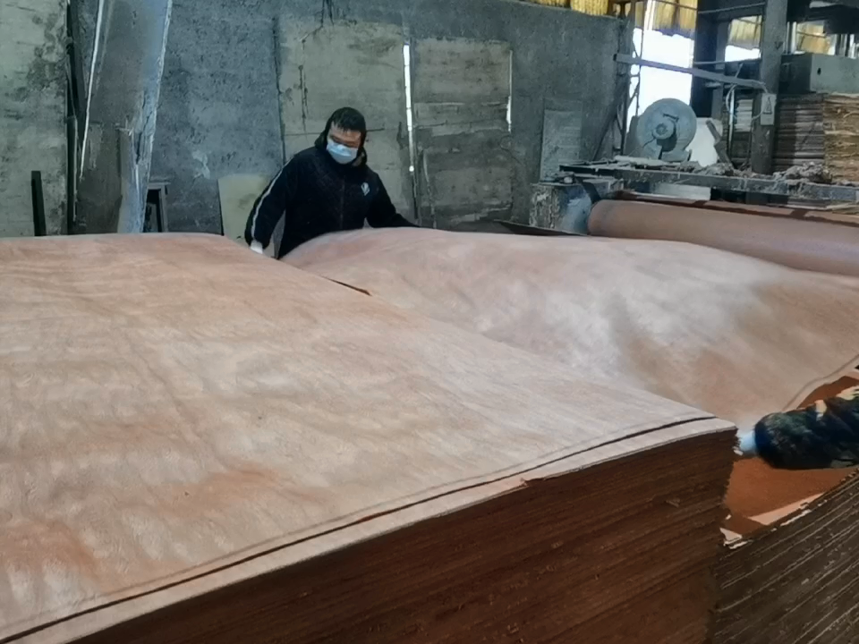 High Quality Okoume/Bintangor/Pencil Cedar/Poplar/Birch/Pine Faced Plywood Used For Furniture