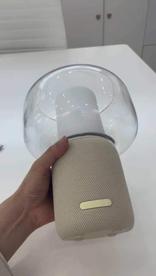 مكبر صوت بلوتوث محمول عالي القيمة 10 واط مع بطارية 2000 مللي أمبير في الساعة، ووقت تشغيل 12 ساعة، ومقاومة للماء IPX5، وجهير غني للاستخدام الخارجي