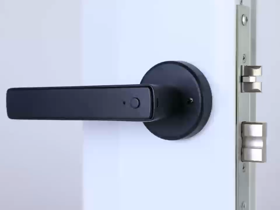 Intelligentes Fingerabdruck-Türschloss mit Tastatur & App-Steuerung für Haus- und Wohnungsgebrauch