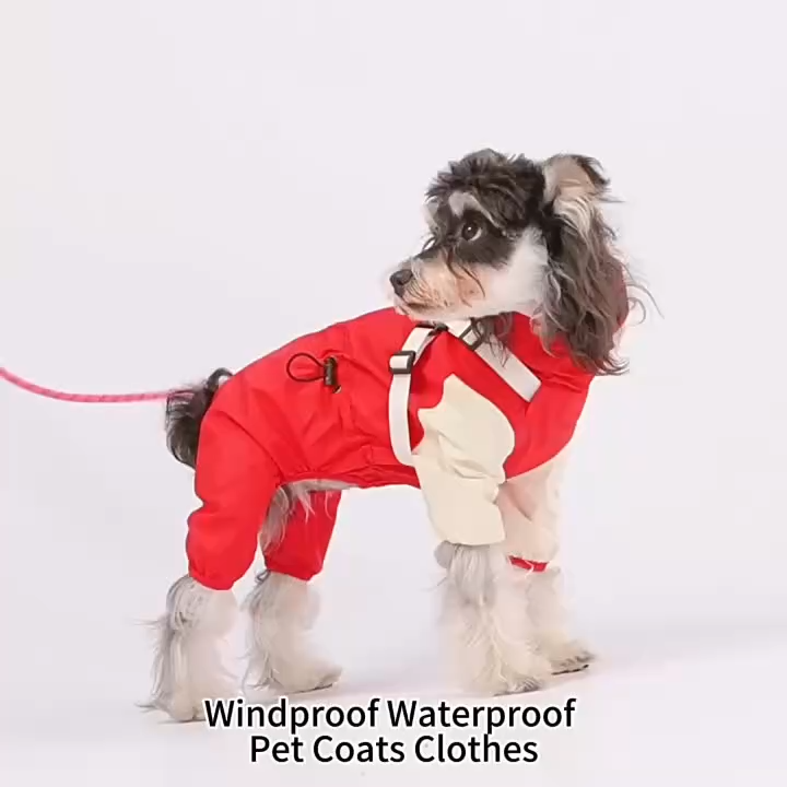 Lampe de Bureau à Bras Long Personnalisée, Métal, Gradation Infinie, Bureau, Dortoir, Apprentissage, Pliable, Fer, Lampe de Bureau pour la Maison