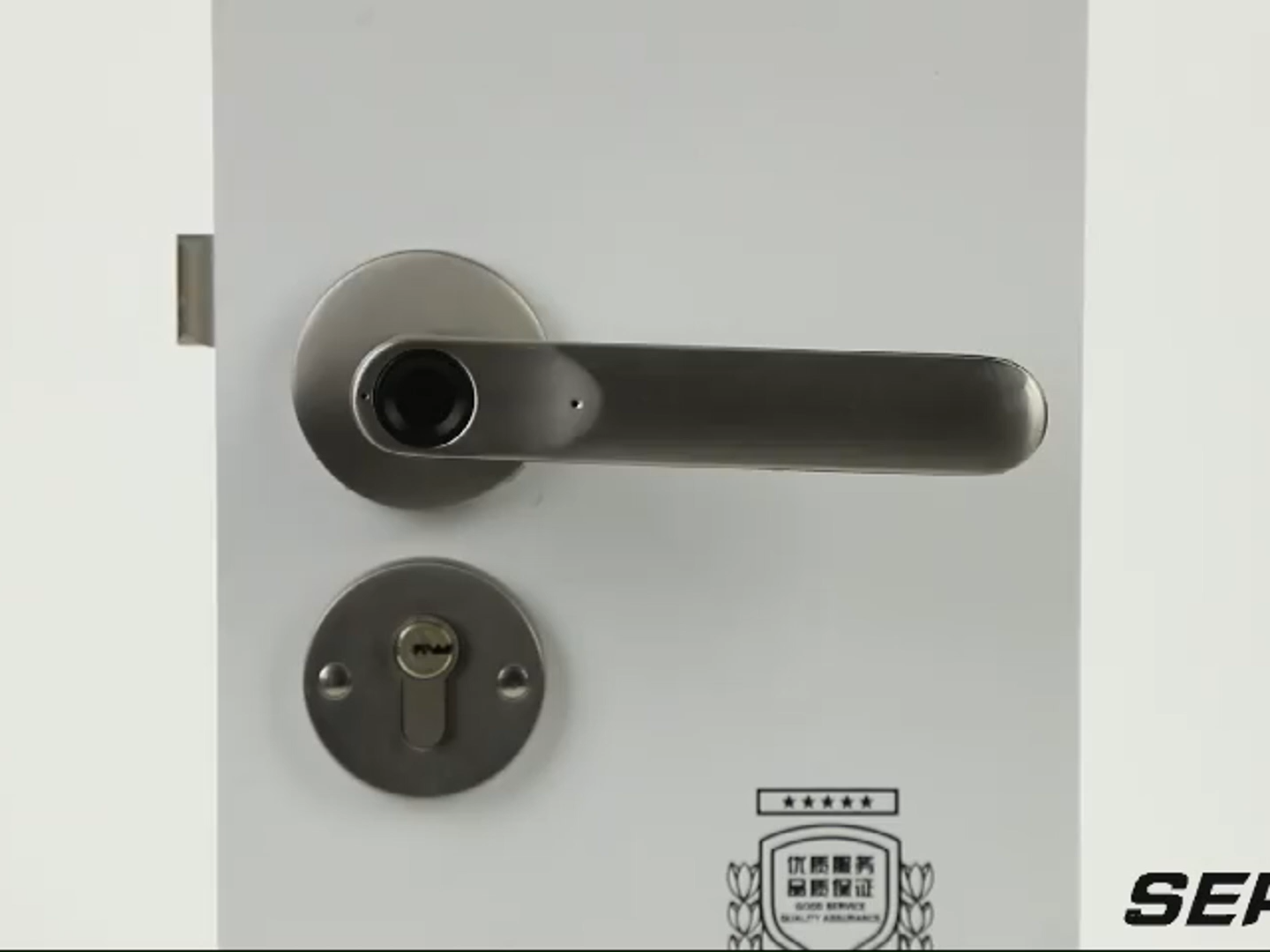 Manija Inteligente de Cerradura de Puerta a Bajo Precio con Botones de Silicona y Diseños de Graffiti, Cerradura Digital por Contraseña con Control de Aplicación, Resistente al Agua IP65