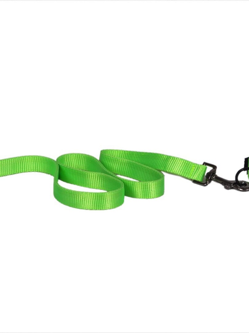 Strapazierfähige Hundeleine aus Nylonseil mit weichem Griff