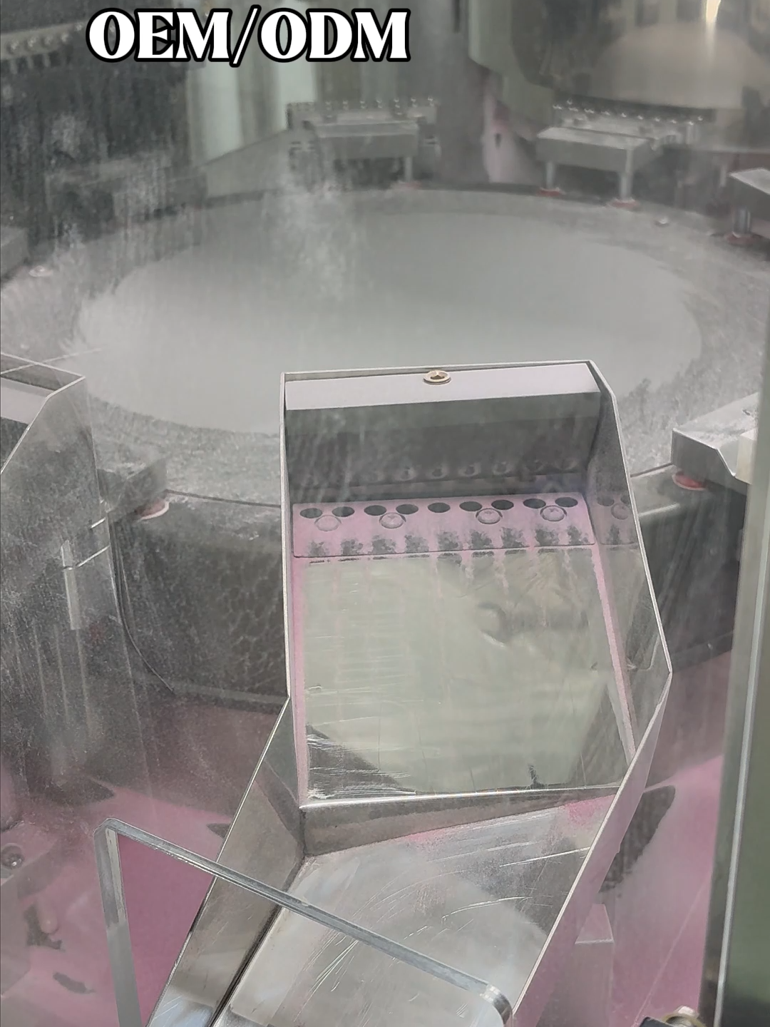 Custom Gut Health Capsules Vegan Non-GMO Gluten Free Halal Certified Metabolic & Digestive Support Supplement OEM ODM