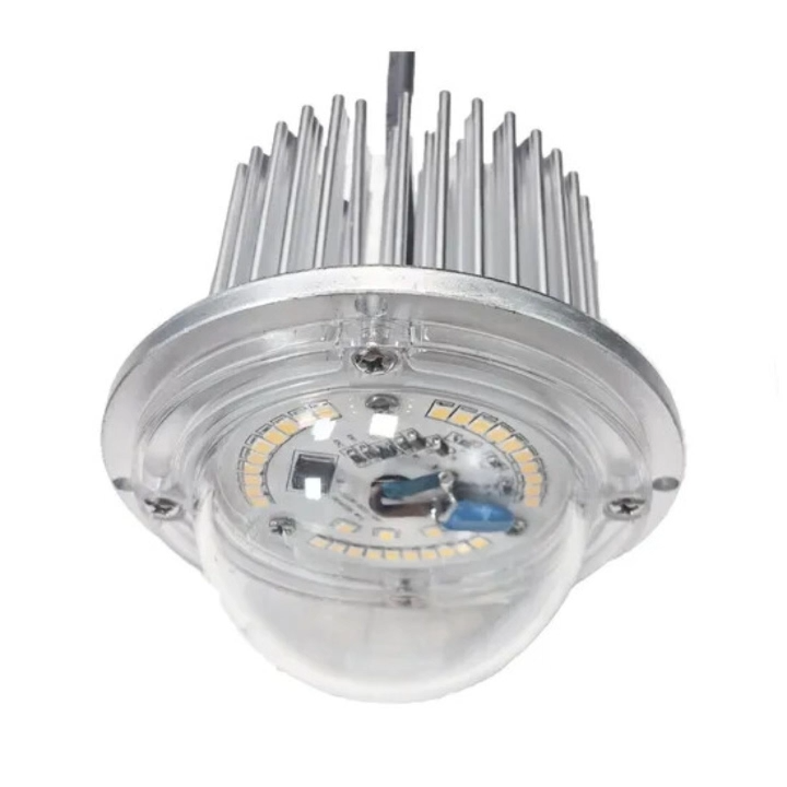 Iluminación LED para Caminos 30W, Fuente de Luz LED para Jardín, Módulo LED DIY 30W, Luz LED Redonda para Exteriores, Bolardos de Jardín