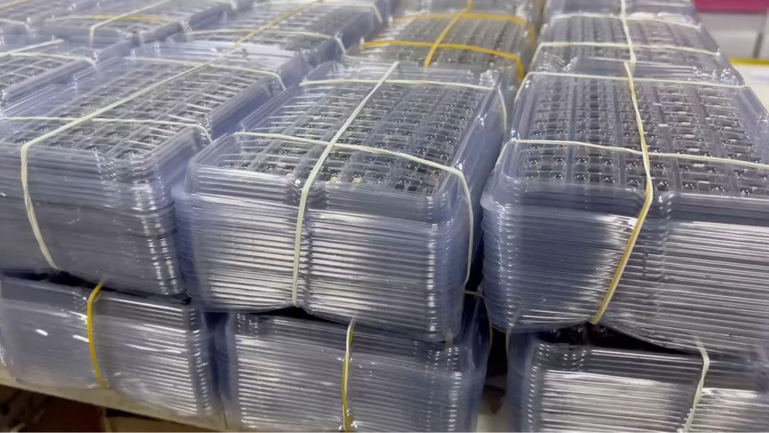 2026 Großhandel 32GB 64GB 128GB 16GB TF SD-Speicherkarte Klasse 10 U3 A1 Speicherkarte 8GB 2GB 4GB SD-Karte 128GB für Kamera 256GB 512GB
